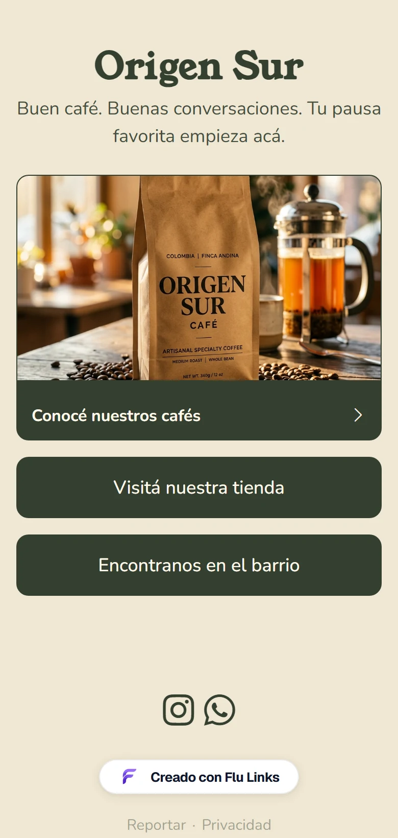 Origen Sur. Café de especialidad: colores oliva, tipografía editorial y una colección destacada.