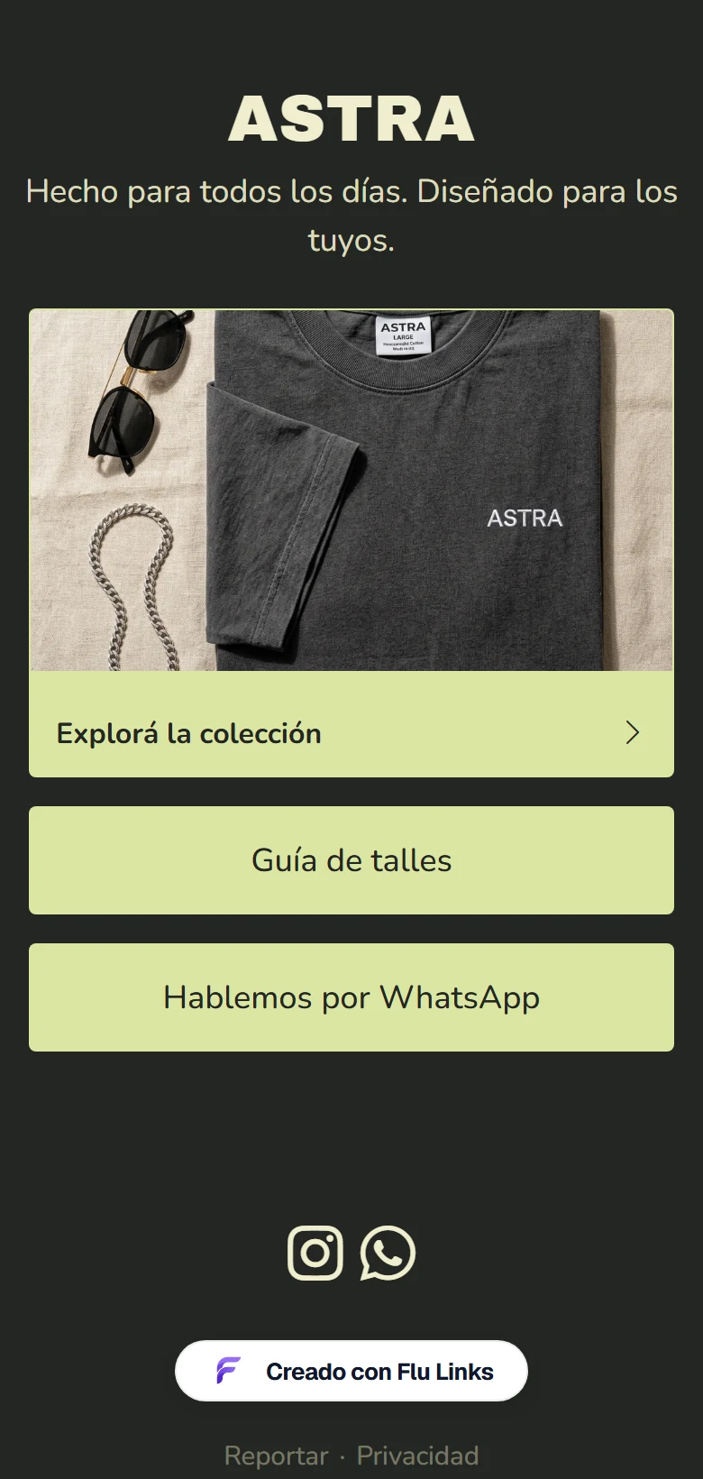 ASTRA. Indumentaria: fondo oscuro, tipografía de alto impacto y enlaces a la colección y guía de talles.